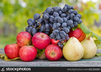 fruits in wooden table outdoor in the garden