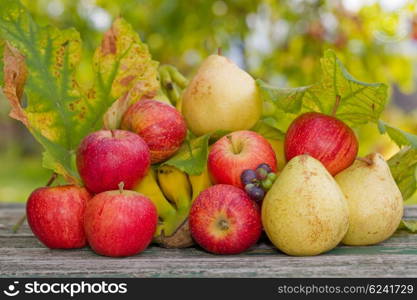 fruits in wooden table outdoor in the garden