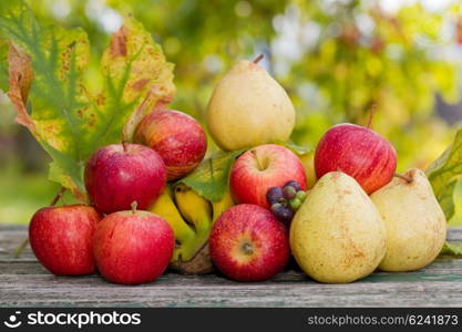 fruits in wooden table outdoor in the garden