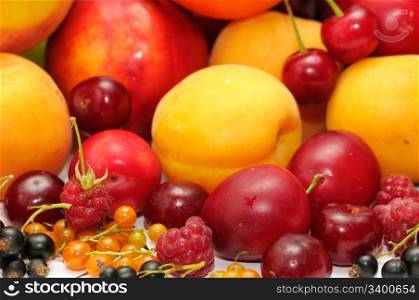 fruits isolated on a white