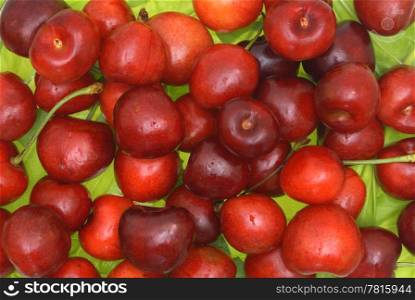 Fruits of a sweet cherry against green leaves.