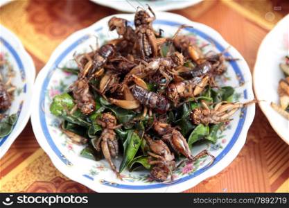 fry insects at a traditional Market in the city of Vientiane in Lao in Souteastasia.. ASIA LAO VIENTIANE