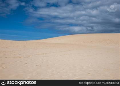 Fuerteventura dunes which shows that it&#39;s like being in a desert