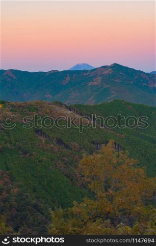 Fuji Mountain and lush green trees in tropical forest in national park and mountain or hill in summer season in Japan. Natural landscape background.