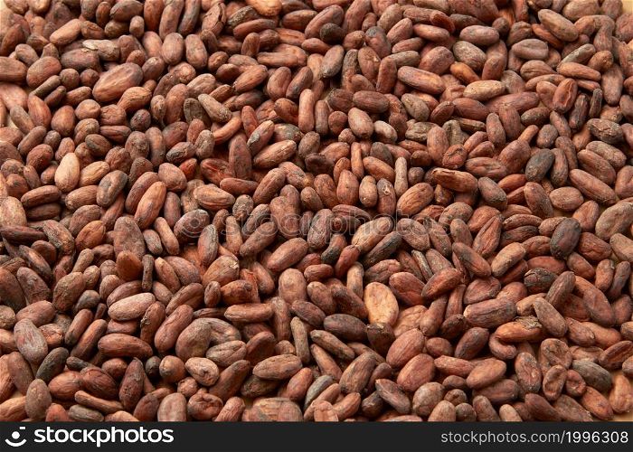 Full frame background of unpeeled raw organic beans in abundance of Theobroma cacao tree. Heap of dried organic cocoa beans