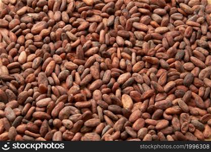 Full frame background of unpeeled raw organic beans in abundance of Theobroma cacao tree. Heap of dried organic cocoa beans