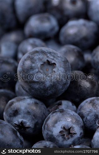 Full Frame Blueberry