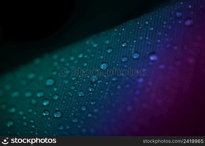full frame droplets colorful feather surface