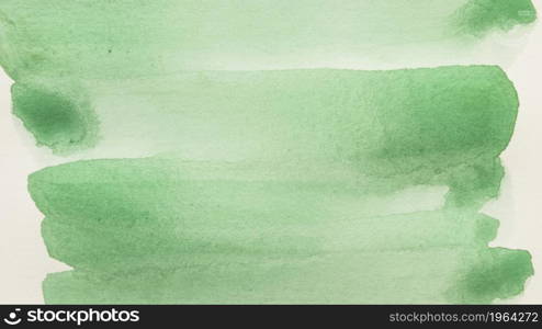 full frame green brush stroke against white background. High resolution photo. full frame green brush stroke against white background. High quality photo