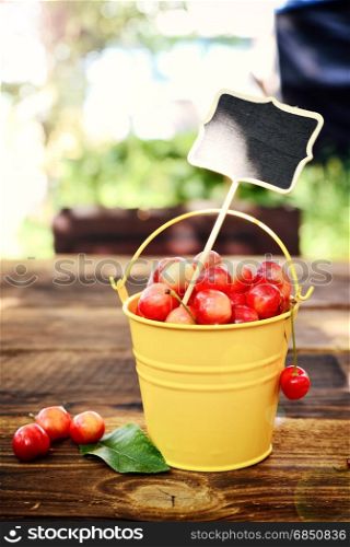 Full iron bucket with ripe pink cherry, vintage toning