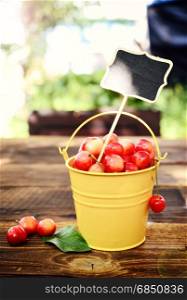 Full iron bucket with ripe pink cherry, vintage toning