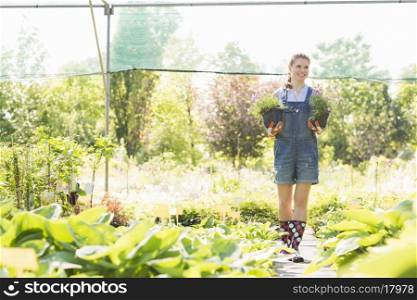 Full-length of gardener looking away while holding potted plants at greenhouse