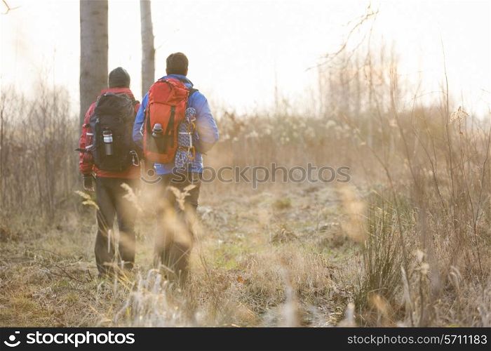 Full length rear view male hikers walking in field