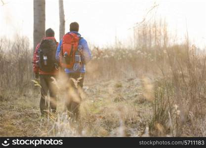 Full length rear view male hikers walking in field