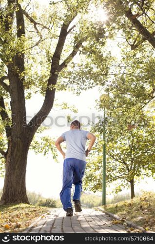 Full length rear view of man jogging in park
