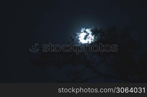 full moon moves into the night sky