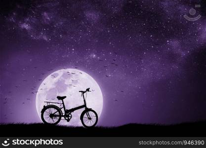 Full moon night With the shadow of a Bicycle and birds that fly back to the nest. Mixed media. Proton purple.