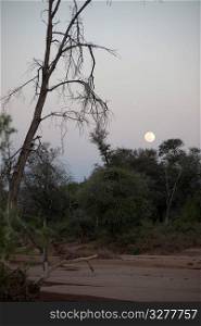 Full moon over Kenya