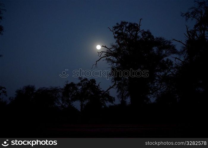 Full moon over Kenya