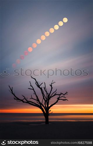 Full moon rising over Botany Bay beach, Edisto Island, South Carolina, USA