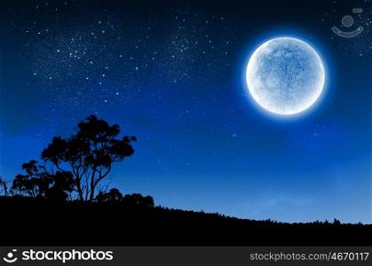 Full moon. Silhouette of tree against night sky and full moon