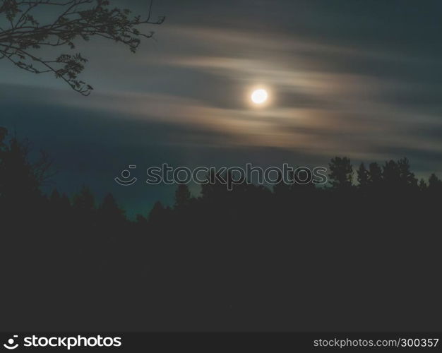 Full moon with contours of trees. Contrast image with an illuminated moon. Long exposure shot. Moon in the night sky and moving clouds. long exposure shot