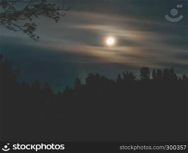 Full moon with contours of trees. Contrast image with an illuminated moon. Long exposure shot. Moon in the night sky and moving clouds. long exposure shot