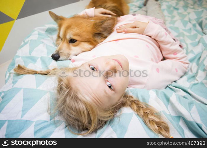 fun girl and dog corgi on the bed in the nursery play on the tablet. home schooling
