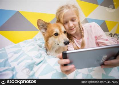 fun girl and dog corgi on the bed in the nursery play on the tablet
