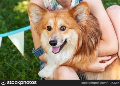 fun girl and dog on a grass at the park