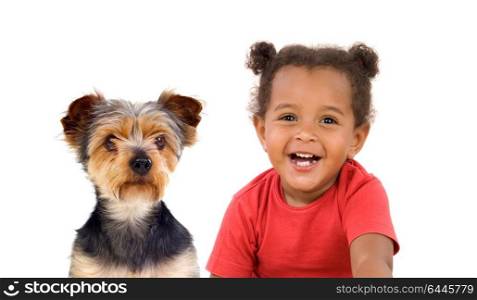 Funny Afro-American child and her dog looking at camera isolated on a white background