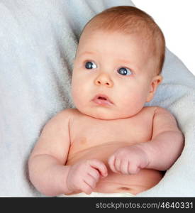 Funny baby newborn lying on a blue blanket