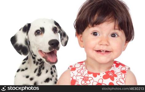 Funny baby with a beautiful dalmatian dog isolated on a white background
