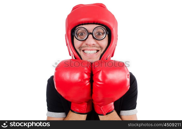 Funny boxer isolated on the white