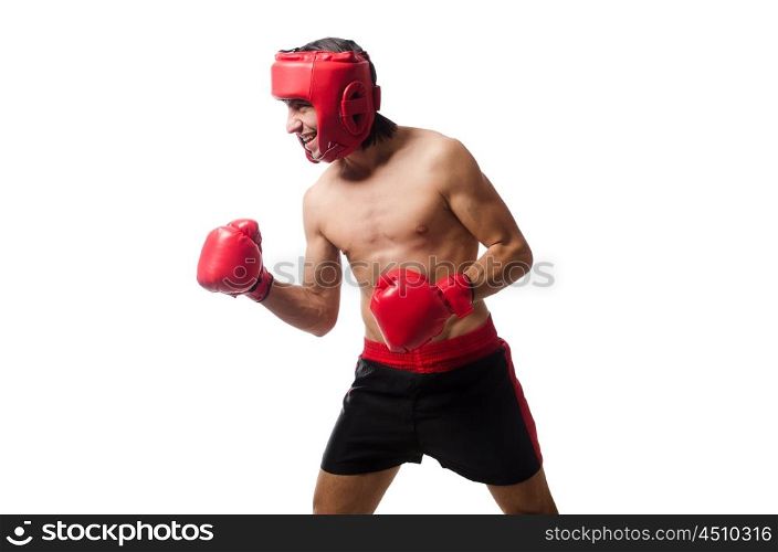 Funny boxer isolated on the white