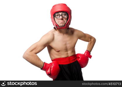 Funny boxer isolated on the white