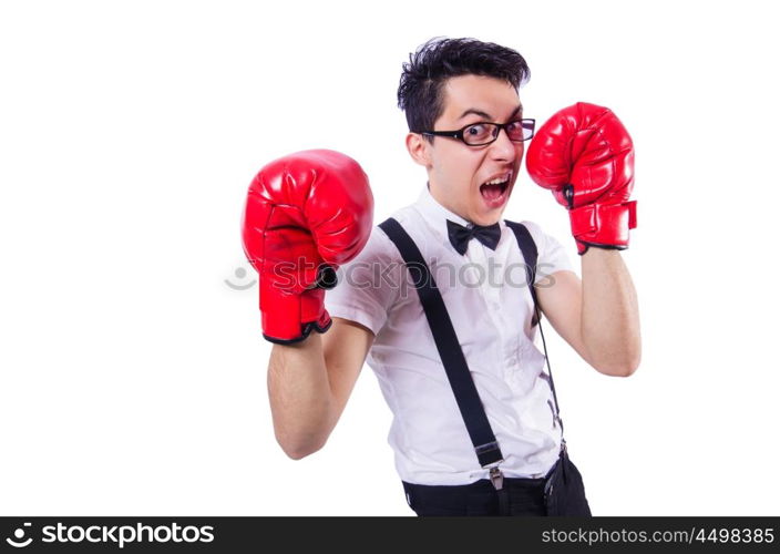 Funny boxer isolated on the white background