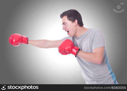 Funny boxer isolated on the white background