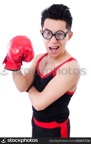 Funny boxer isolated on the white background