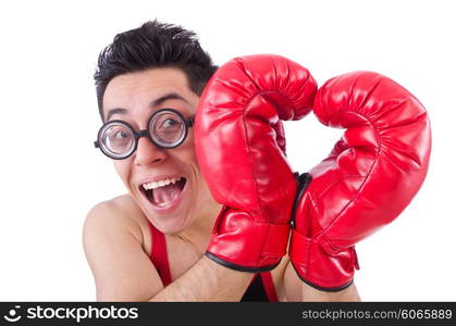 Funny boxer isolated on the white background