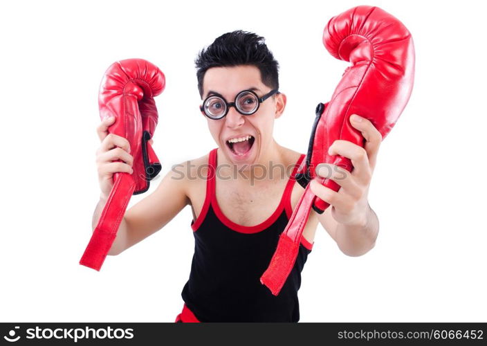 Funny boxer isolated on the white background