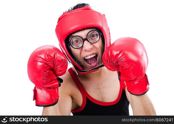 Funny boxer isolated on the white background