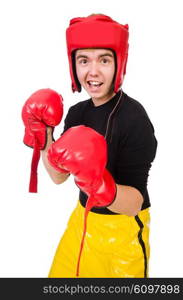 Funny boxer isolated on the white background