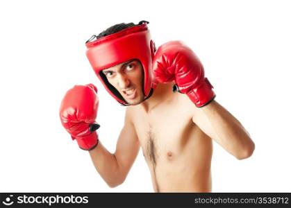 Funny boxer isolated on white