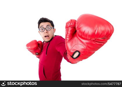 Funny boxer isolated on white