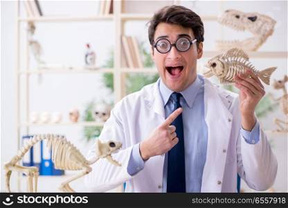 Funny crazy professor studying animal skeletons