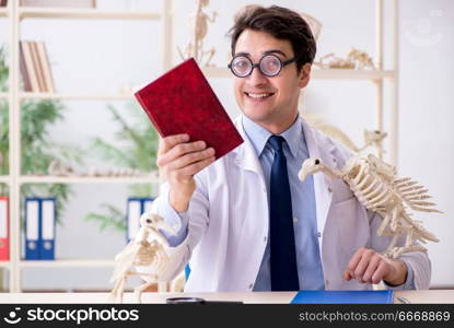 Funny crazy professor studying animal skeletons