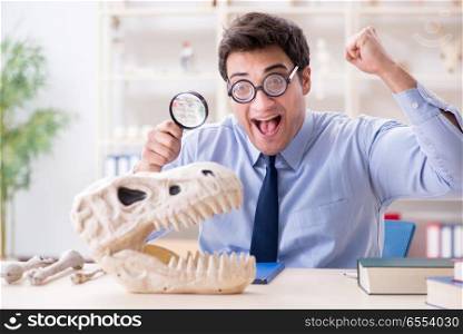 Funny crazy professor studying dinosaur skeleton