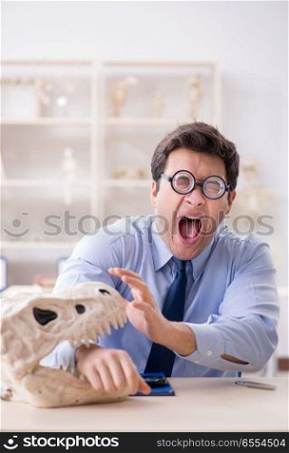 Funny crazy professor studying dinosaur skeleton