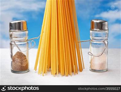 funny cutlery salt shaker and pepper with pasta